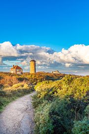 The path to Domburg with beautiful skies (standing) by Danny Bastiaanse