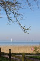 Sailing boats on the IJsselmeer