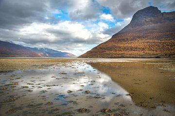 Calm waters van Marc Hollenberg