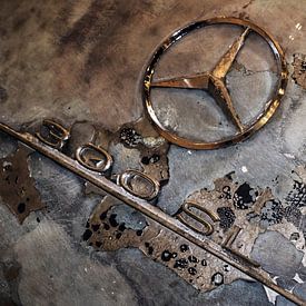 300SL in decay by Michiel Mulder