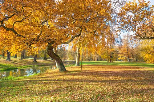 Pays d'automne