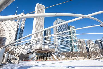 Pavillon Jay Pritzker à Chicago et horizon de Chicago