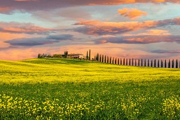 Tuscan landscape by Ilya Korzelius