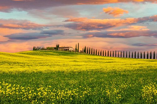 Toscaans landschap