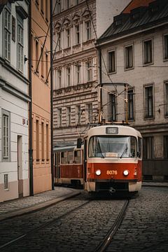 Straßenbahn Prag von Goos den Biesen