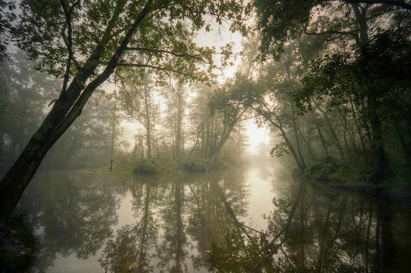 Nebliges Grün von Angelique Brunas