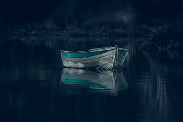 Das blaue Boot von Marina de Wit
