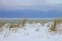 Sneeuw in de duinen
