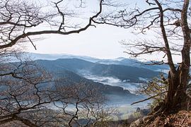 Schwarzwaldblick von Thomas Heitz