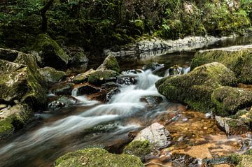 Flowing Stream In The Vosges by Melvin Fotografie
