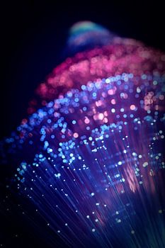 licht in het duister