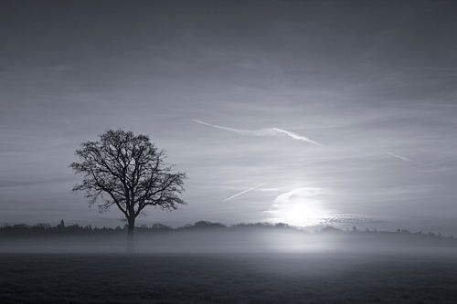 Lente in Twente