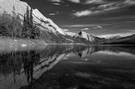 Jasper National Park Kanada von Christien Brandwijk Miniaturansicht