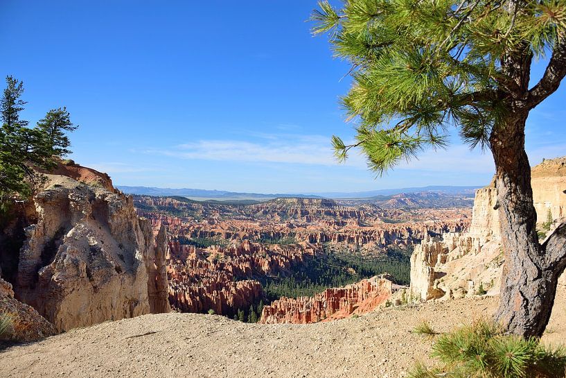 Peaceful moment on the Rim trail by Frank's Awesome Travels