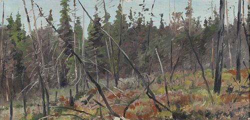 Forest edge in Canada, Richard Friese