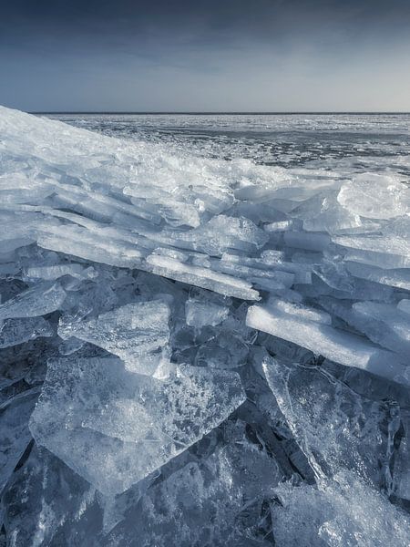 Shelf Ice van Erik de Jong