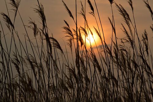 Zonsondergang