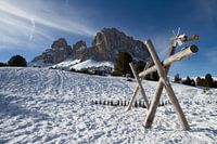 Swing in the snow