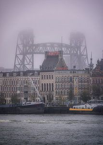 Blick auf das Noordereiland in Rotterdam
