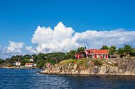 Häuser auf einer Schäreninsel vor der Stadt Arendal in Norwegen von Rico Ködder Miniaturansicht