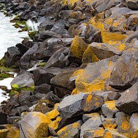 Sea Rocks by Truckpowerr
