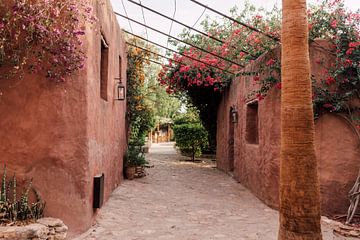 De bloemenstraat | Marokkaanse Reisfotografie van Yaira Bernabela