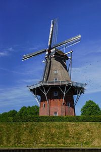 Molen Zeldenrust Dokkum