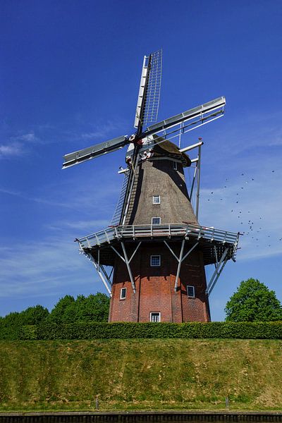 Molen Zeldenrust Dokkum van Wolbert Erich
