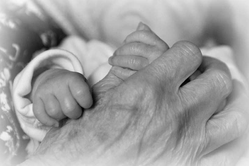 96 years apart... par Annick Cornu
