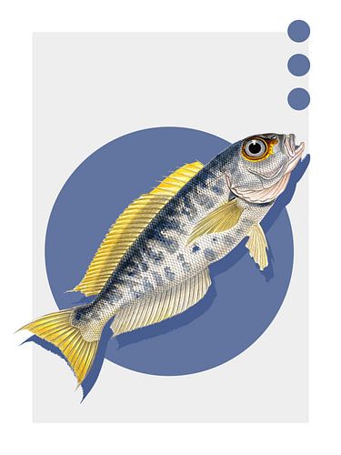 Atlantic Goldeneye Tilefish by Marja van den Hurk