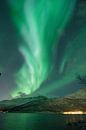 Northern Lights by Photos by Ilse thumbnail