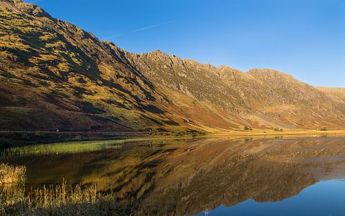 Réflexions dans More