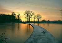 The way to the light