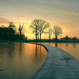 The way to the light by Rudi Everaert