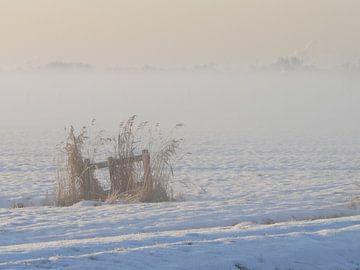 Riet en sneeuw. van Natascha Tunderman