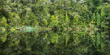 Lac Miroir sur Rainer Mirau