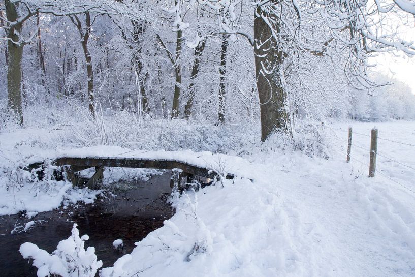 Schnee in Gelderland bei Renkum von Rijk van de Kaa