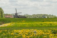 Artistiek Hollands landschap