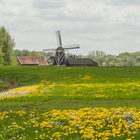 Artistiek Hollands landschap van Jan Nijeboer