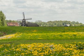 Artistiek Hollands landschap van Jan Nijeboer