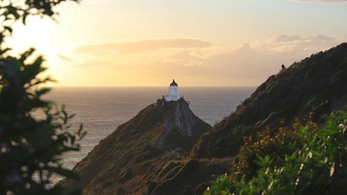 Sonnenaufgang am Nugget Point: Golden Hour am Leuchtturm