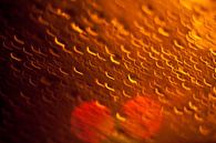 Stunning Orange van Evelyne Dierikx thumbnail