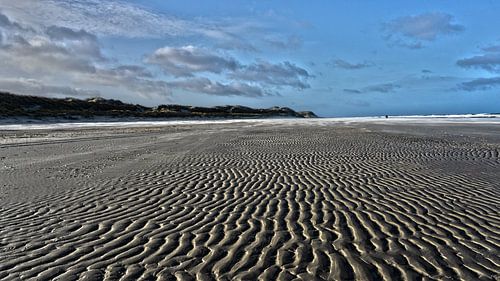 Plage Terschelling Noordvaarder