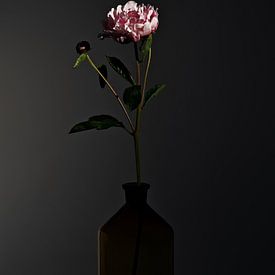 Stilleben mit Blumen - Dark Matter 2 von Geert Smits