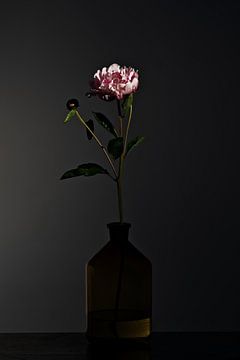 Still life with flowers - Dark Matter 2 by Geert Smits