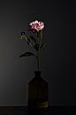 Stilleben mit Blumen - Dark Matter 2 von Geert Smits Miniaturansicht