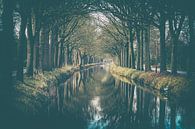 Baumreihe mit Spiegelung entlang des Wasserkanals von Fotografiecor .nl Miniaturansicht