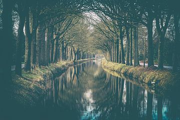 Row of trees mirroring along water canal by Fotografiecor .nl