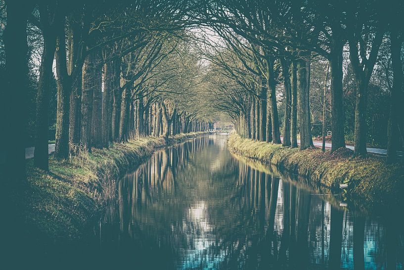 Baumreihe mit Spiegelung entlang des Wasserkanals von Fotografiecor .nl