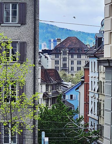 Bunte Fassaden und Altstadtzauber in Zürich